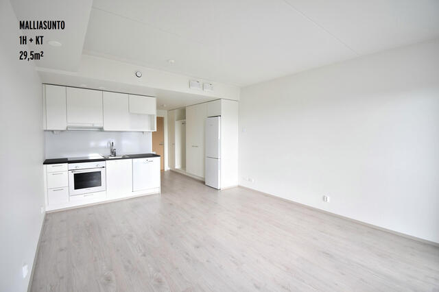 Rental Tampere Hervanta 1 room Olohuone