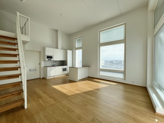 Rental Tampere Härmälänranta 2 rooms Olohuone