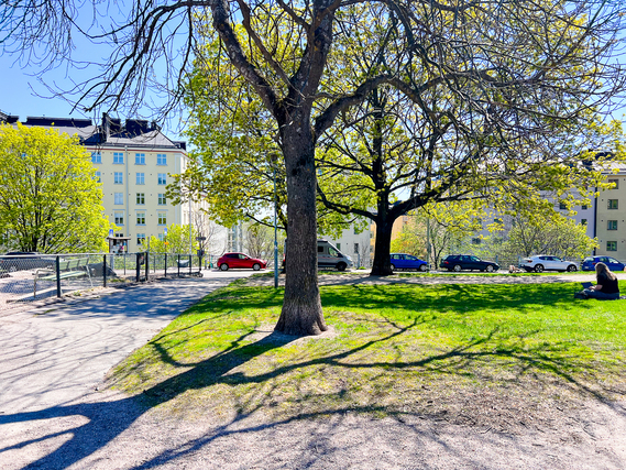 Vuokra-asunto Helsinki Kallio Yksiö Koti, ehkäpä Kallion parhaalla sijainnilla aivan Pengerpuiston kupeessa!