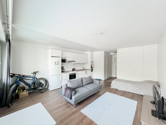 Rental Vantaa Vantaanpuisto 1 room Keittiö on moderni ja varusteluun kuuluu astianpesukone.