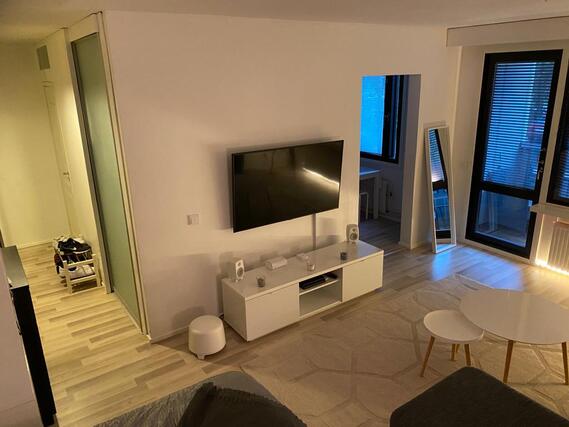 Rental Espoo Haukilahti 1 room olohuone