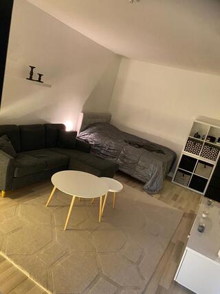 Rental Espoo Haukilahti 1 room olohuone