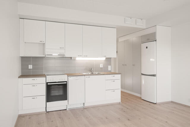 Rental Jyväskylä  1 room Stailattu kuva