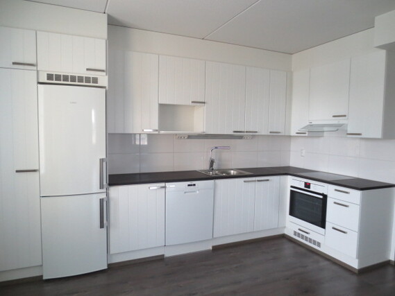 Rental Jyväskylä Palokka 3 rooms -