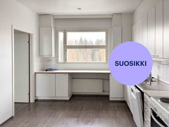 Rental Jyväskylä Suuruspää 4 rooms