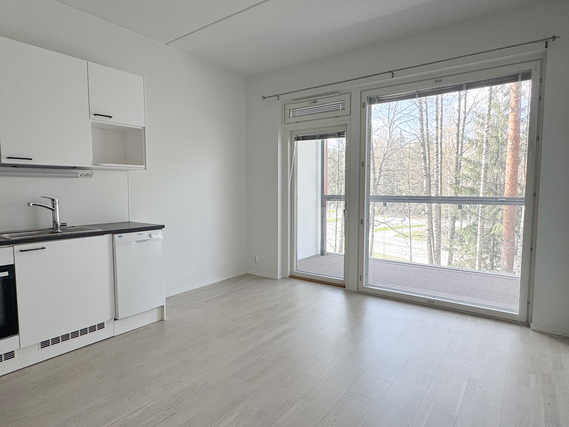 Rental Tampere Multisilta 1 room