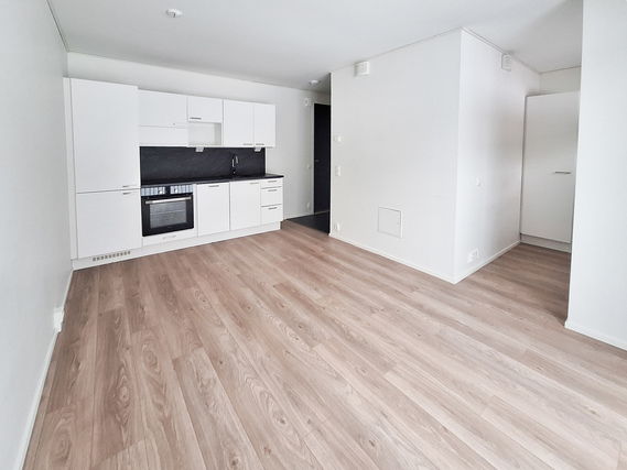 Rental Nurmijärvi Klaukkala 1 room