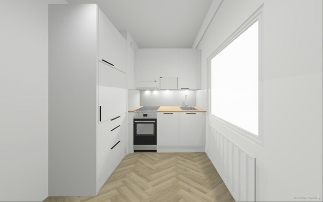 Rental Tampere Tammela 1 room Havainne kuva - uusi keittiö- Integoitu jääkaappi ja integroitu apk