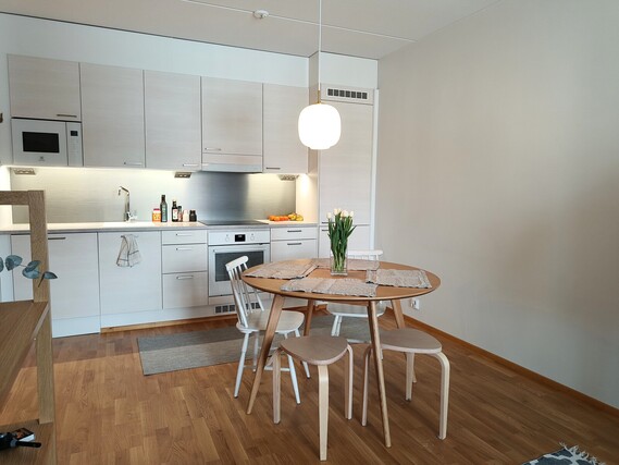 Rental Jyväskylä Lutakko 2 rooms keittotila