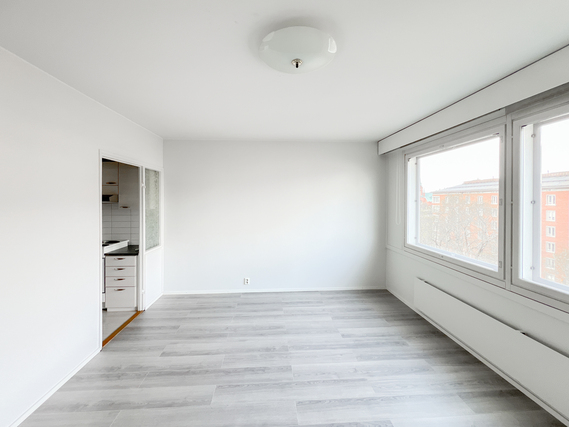 Rental Tampere Keskusta 1 room Hissitalon 7/8 kerroksen tilava yksiö Hämeenpuiston laidalla.