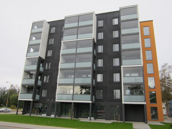 Rental Kangasala Suorama 2 rooms -
