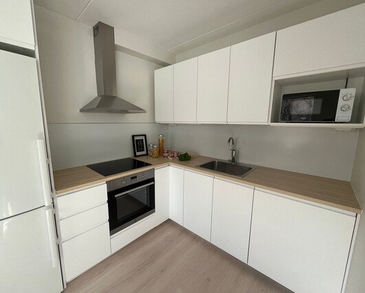 Rental Tampere Pyynikinrinne 2 rooms