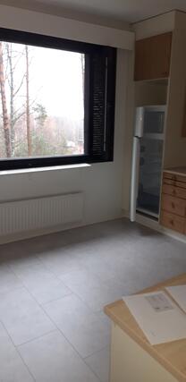 Rental Pälkäne Onkkaala 2 rooms