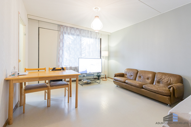 Rental Jyväskylä Sulku 2 rooms Olohuone
