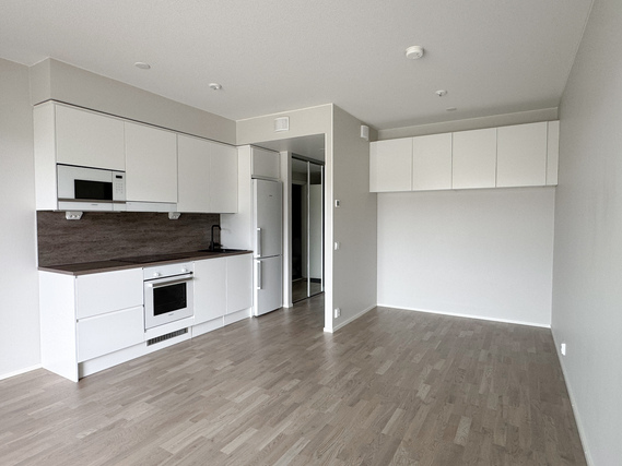 Rental Tampere Härmälänranta 1 room