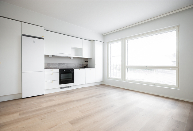 Rental Turku Kirstinpuisto 1 room