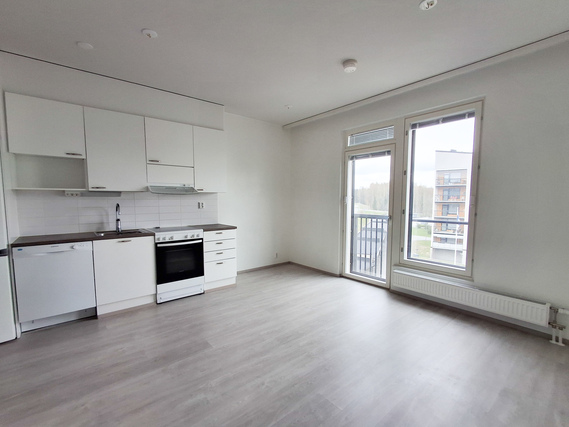 Rental Tampere Lentävänniemi 1 room