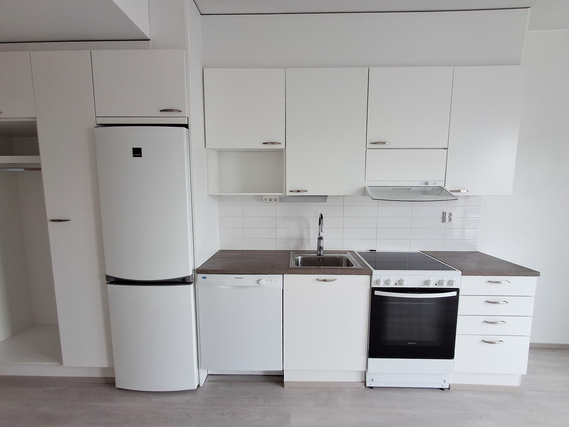 Rental Tampere Lentävänniemi 1 room