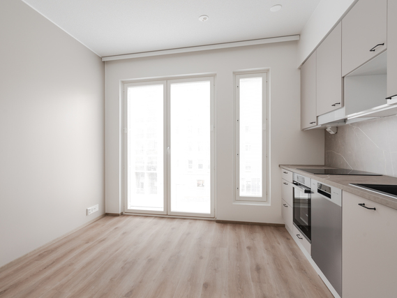 Rental Turku Pitkämäki 1 room