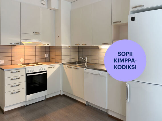 Rental Jyväskylä Kangaslampi 2 rooms
