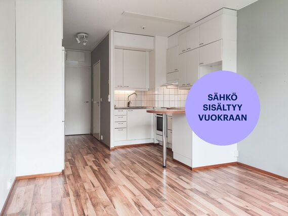 Rental Tampere Nekala 1 room