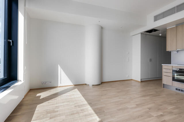 Rental Helsinki Kalasatama 1 room -