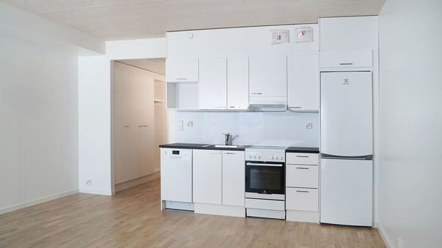 Rental Kuopio Rautaniemi 1 room