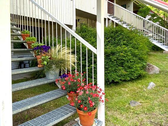 Rental Jyväskylä Sarvivuori 1 room