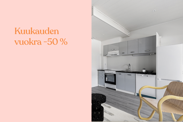 Rental Kerava Ahjo 1 room
