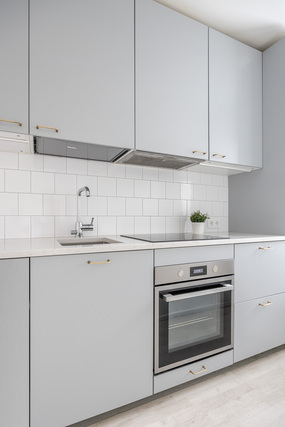 Rental Helsinki Alppila 1 room