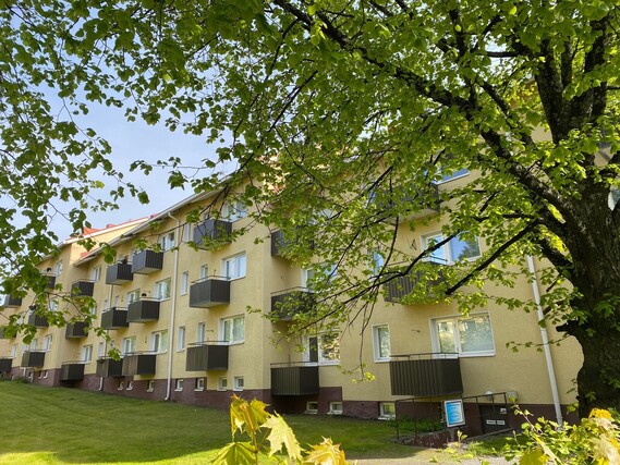 Rental Kuopio Männistö 1 room
