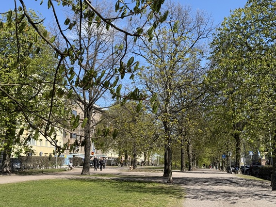 Vuokra-asunto Helsinki Etu-Töölö Yksiö