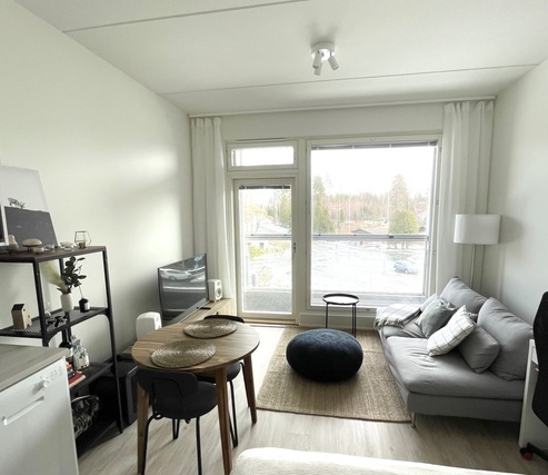 Rental Tampere Holvasti 1 room
