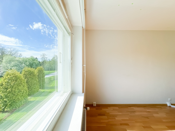 Rental Akaa Viiala 1 room Valoisa ja kompakti koti kauniilla maisemilla varustettuna.