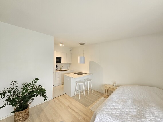 Rental Helsinki Kallio 1 room