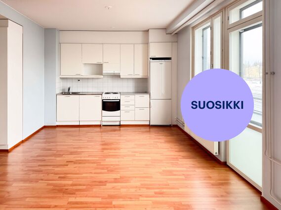 Vuokra-asunto Tampere Hatanpää Yksiö
