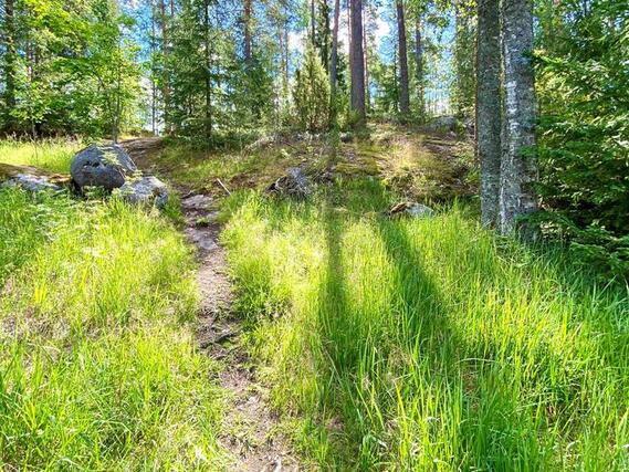 Vuokra-asunto Jyväskylä Kypärämäki Kaksio