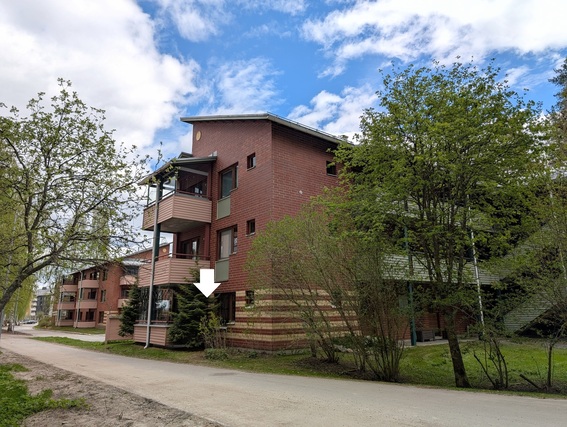 Vuokra-asunto Jyväskylä Kuokkala Kaksio