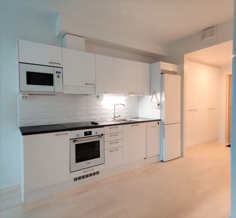 Rental Tampere Härmälänranta 1 room