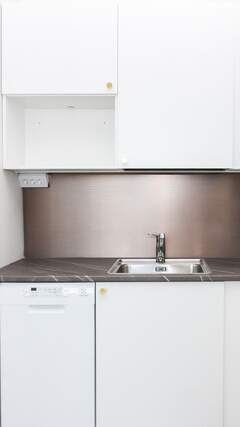 Rental Helsinki Kallio 1 room