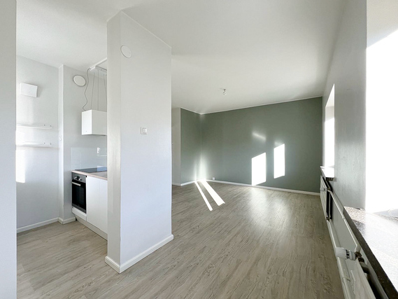 Rental Helsinki Toukola 2 rooms