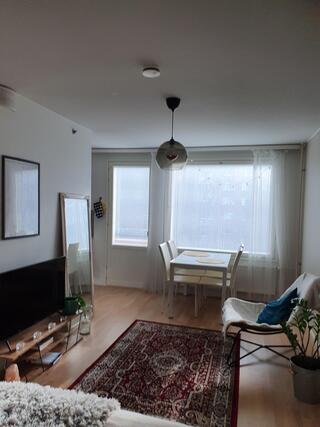 Vuokra-asunto Tampere Keskusta Yksiö