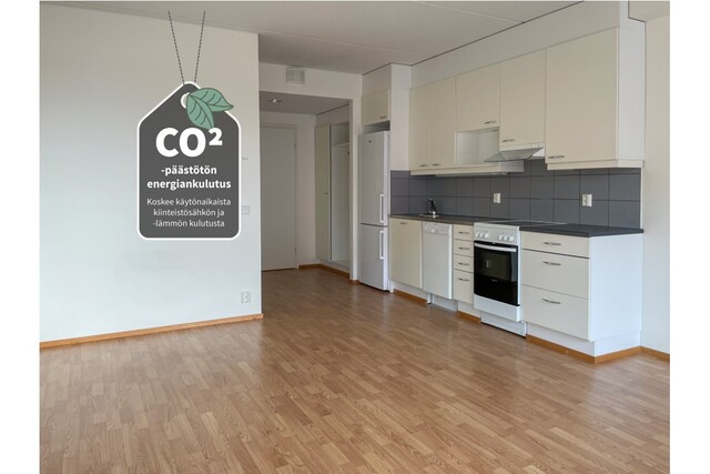 Rental Tampere Pyynikki 1 room