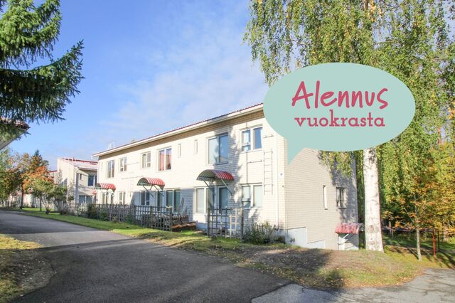 Rental Kuopio Pirtti 2 rooms Kampanja