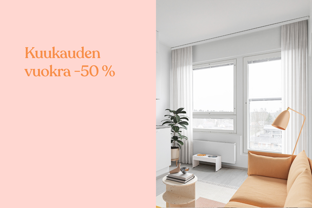 Rental Nokia  2 rooms