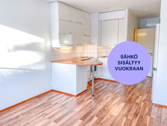 Rental Tampere Nekala 1 room