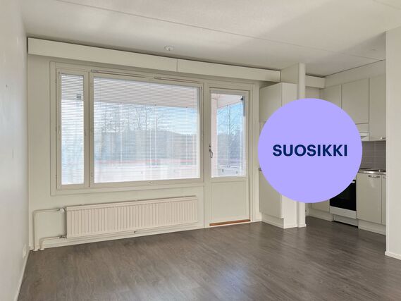 Rental Jyväskylä Kukkumäki 2 rooms