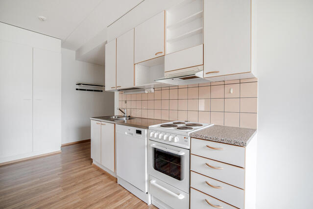 Rental Jyväskylä Heinälampi 2 rooms -