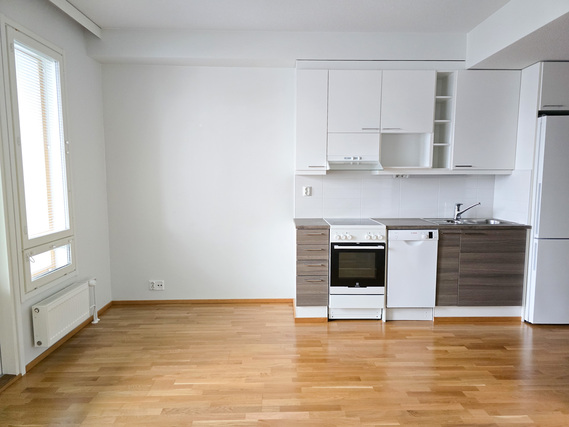 Rental Oulu Alppila 1 room