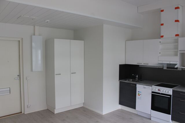 Rental Jyväskylä Kuokkala 1 room